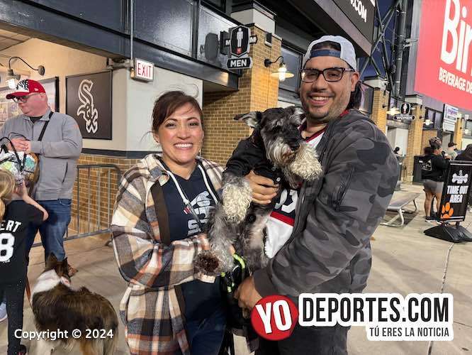 El Dog Day o Día del Perro en el estadio de los White Sox donde los aficionados pueden llevar a sus mascotas.